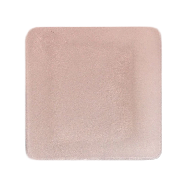 DermaCol Ag Collagen Matrix Dressing