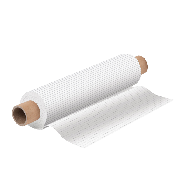 DermaTex Ag (10")